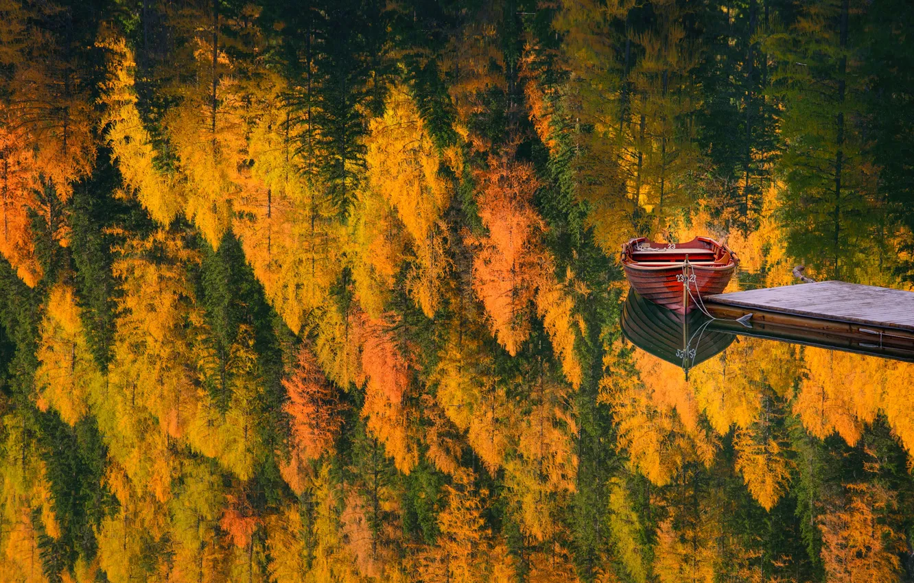 Фото обои осень, лес, деревья, природа, озеро, отражение, лодка, причал