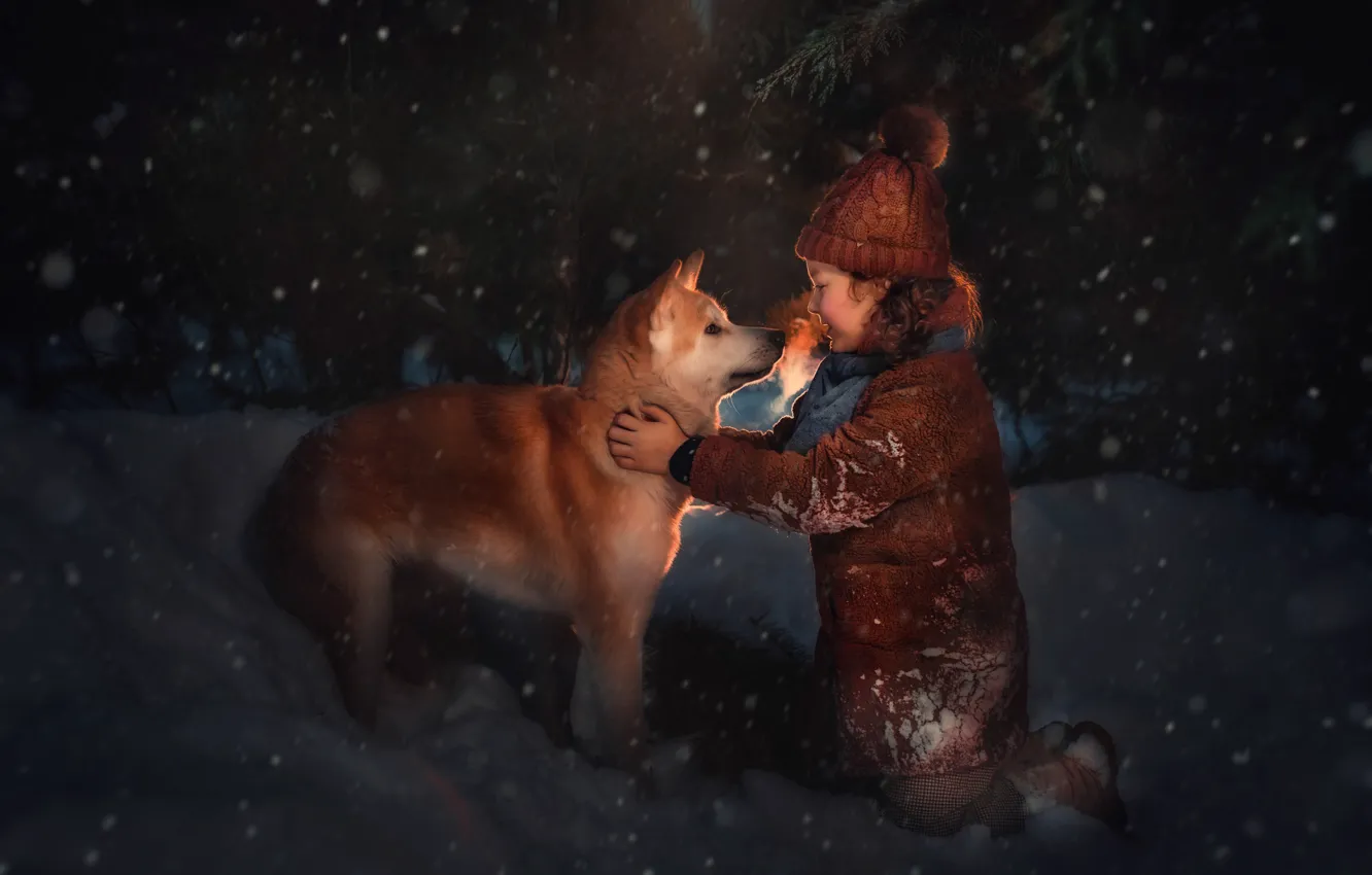 Фото обои зима, снег, друг, собака, вечер, девочка, ребёнок, пёс