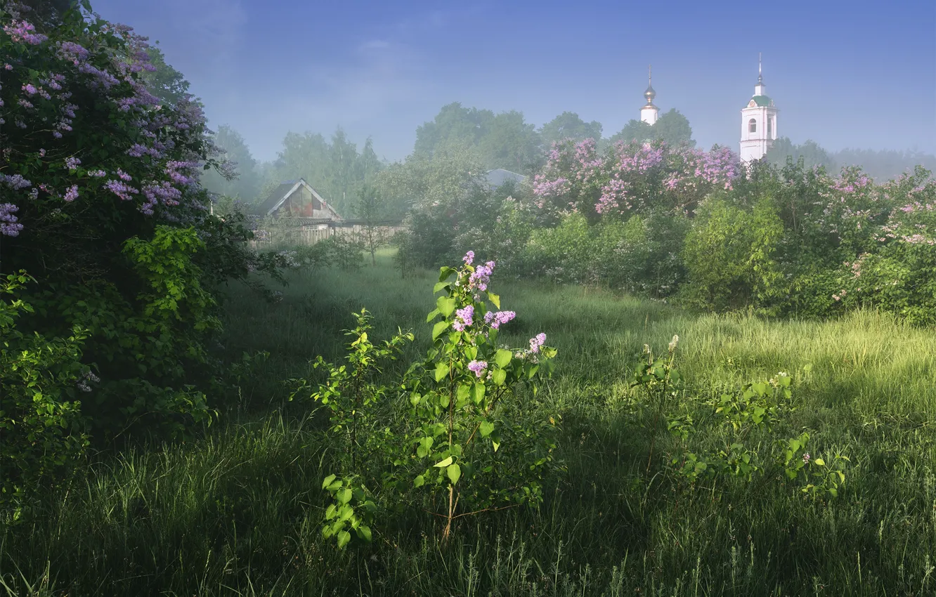 Фото обои туман, церковь, сирень
