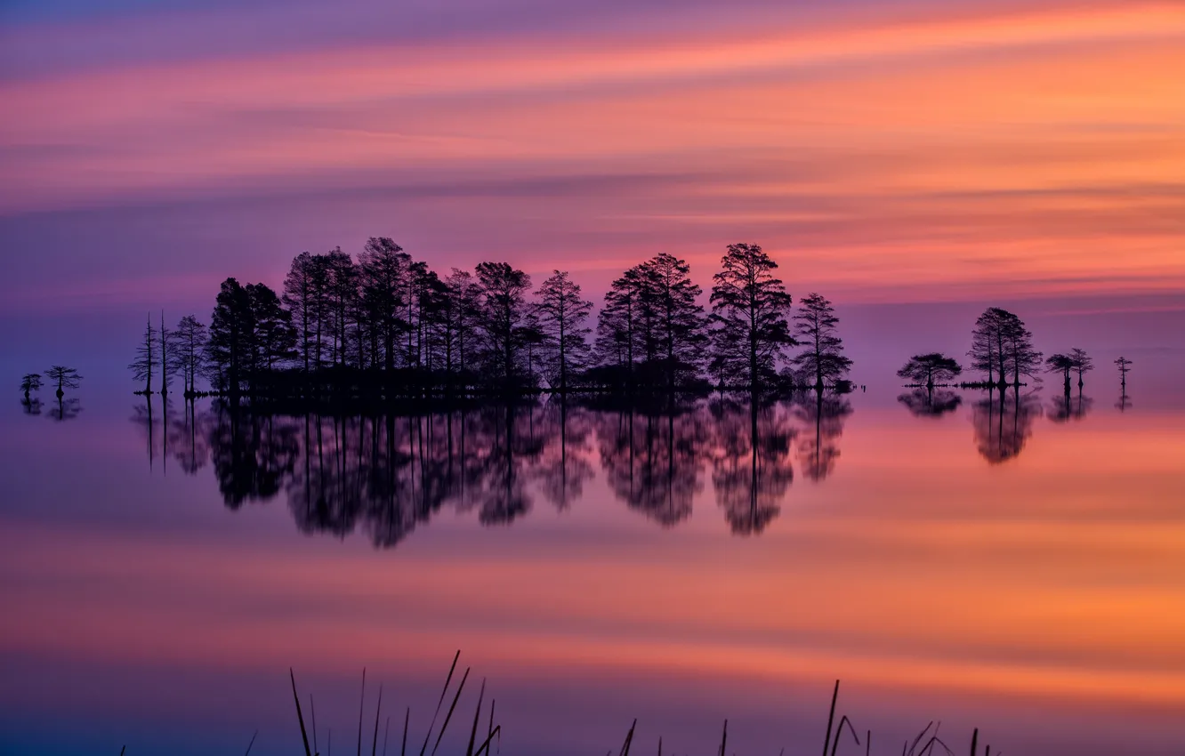 Фото обои небо, деревья, закат, озеро, отражение, вечер, США, Северная Каролина