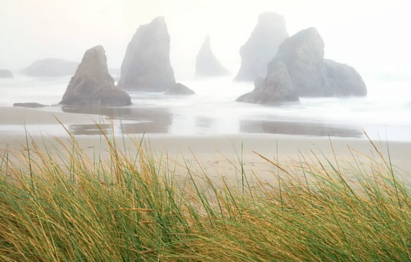 Фото обои море, трава, скалы, Туман