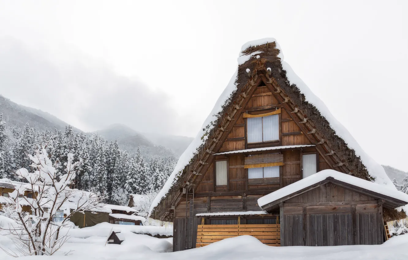 Фото обои зима, снег, деревья, пейзаж, зимний, домик, house, landscape