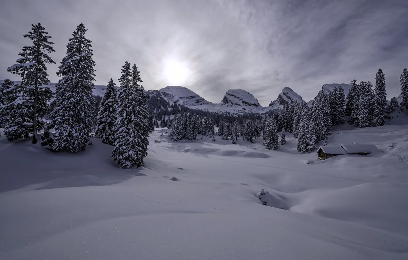 Фото обои зима, снег, горы, Швейцария, ели, Альпы, сугробы, домик