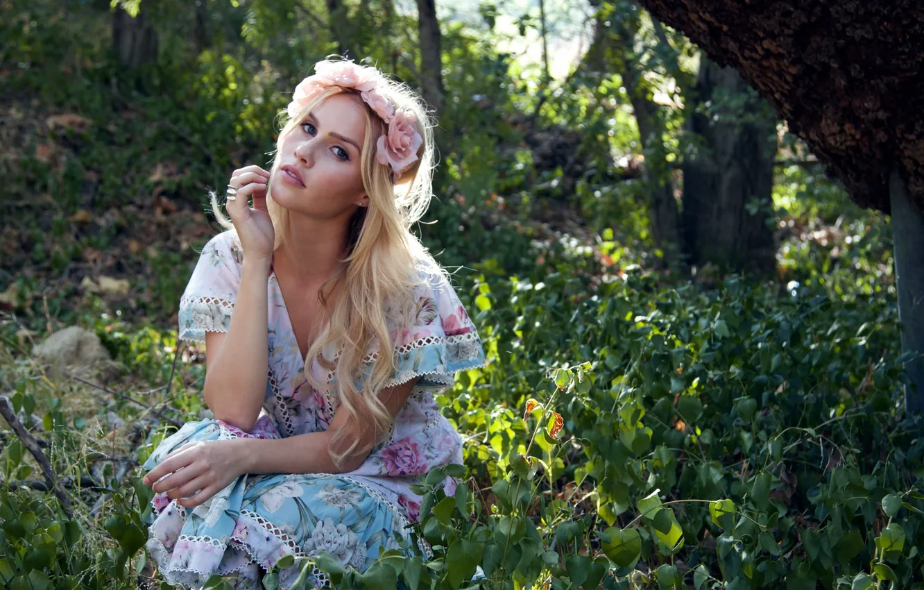 Фото обои поза, актриса, блондинка, сидит, Клэр Холт, Claire Holt