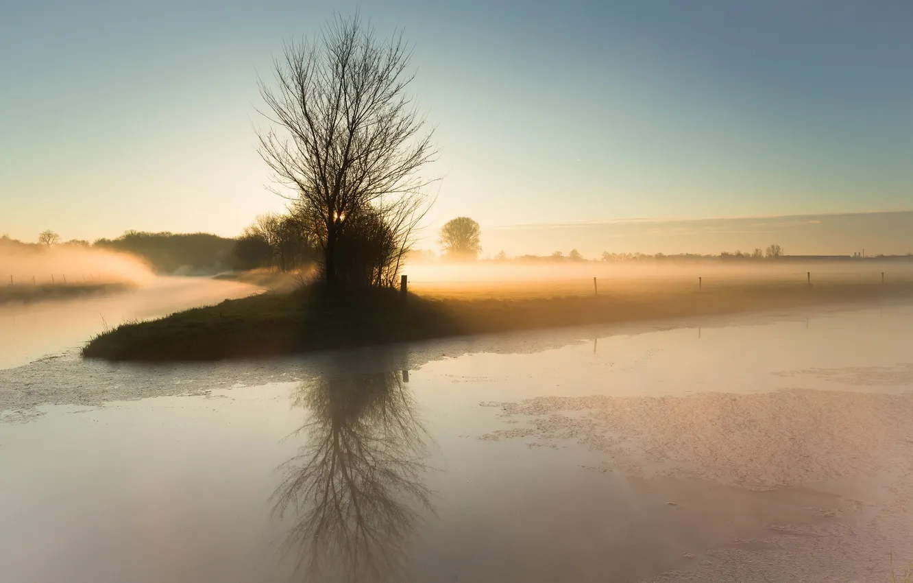 Фото обои поле, пейзаж, туман, утро, канал