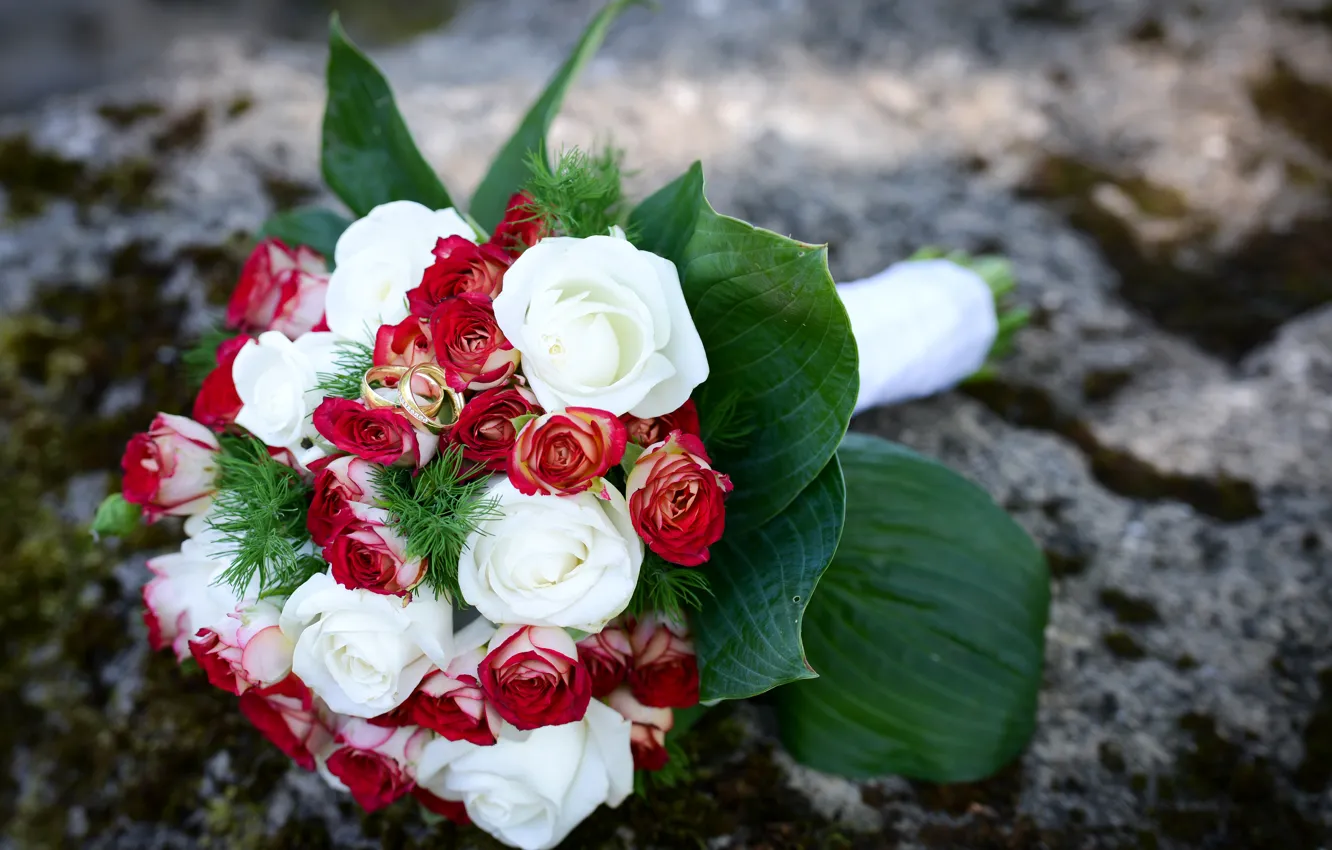 Фото обои розы, букет, кольца, красивый, свадьба, beautiful, Roses, ring