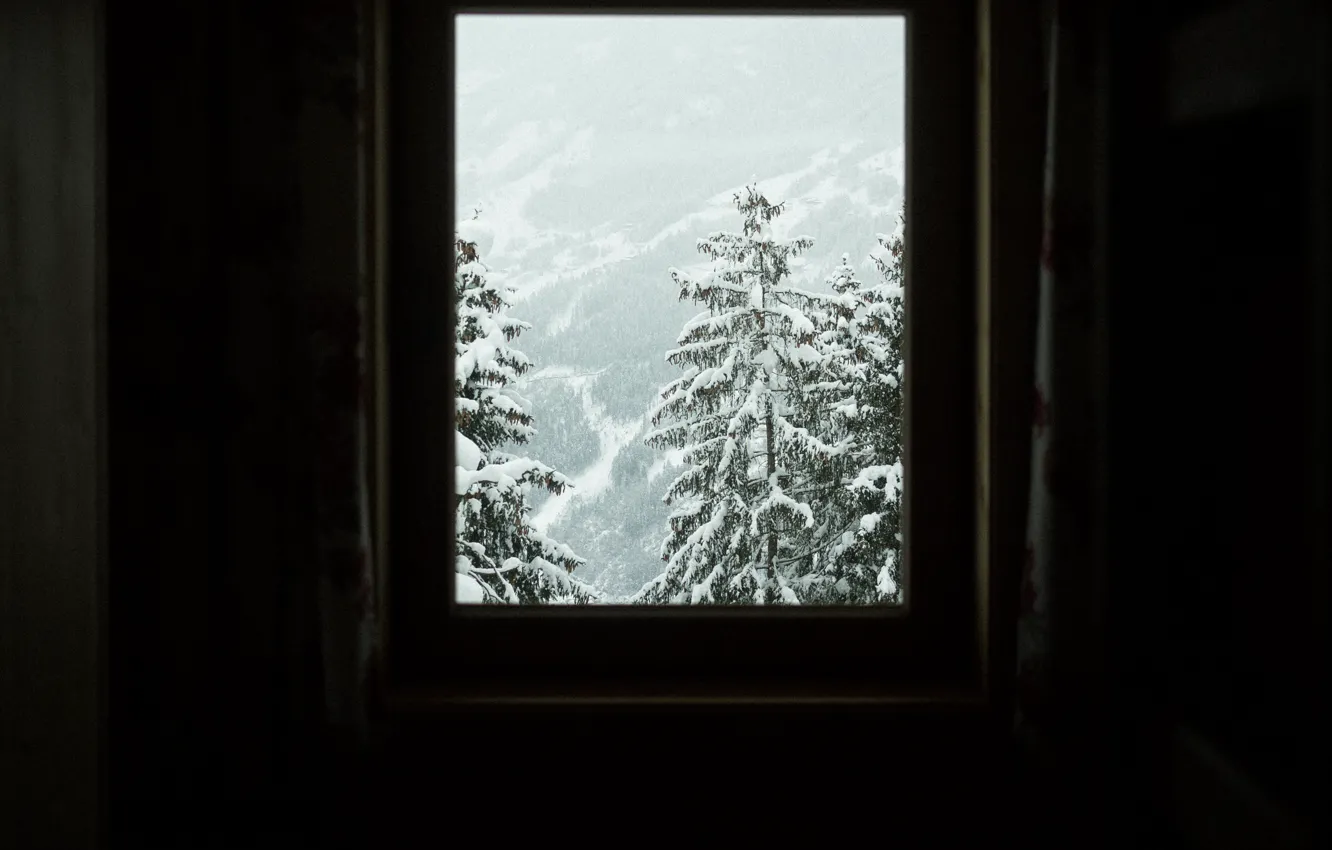 Фото обои зима, снег, деревья, комната, вид, склон, окно, trees