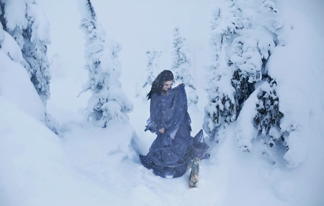 Фото обои девушка, снег, заяц, ёлки, Lichon