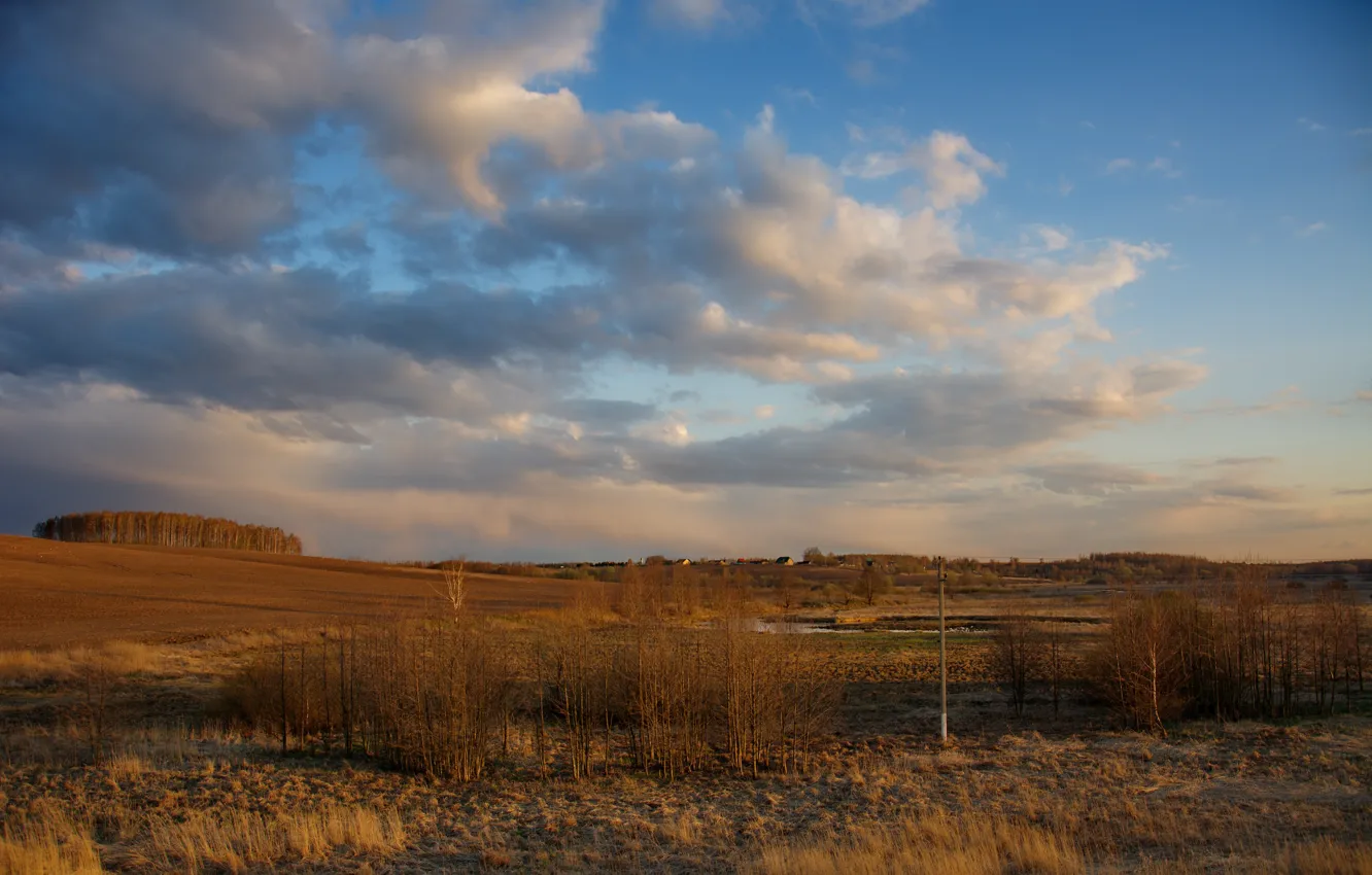 Фото обои поле, закат, весна