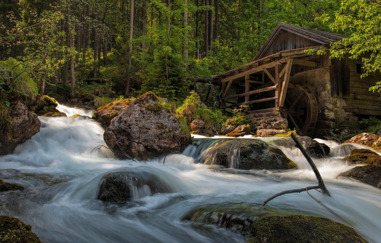 Фото обои лес, вода, деревья, река, камни, поток, хижина