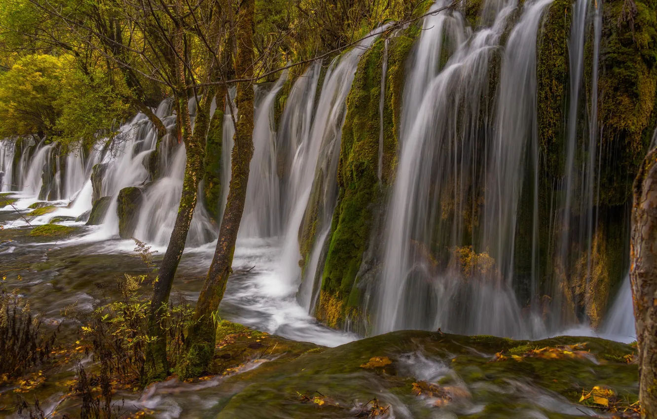 Фото обои осень, деревья, China, водопад, Китай, каскад, Национальный парк Цзючжайгоу, Jiuzhai Valley National Park