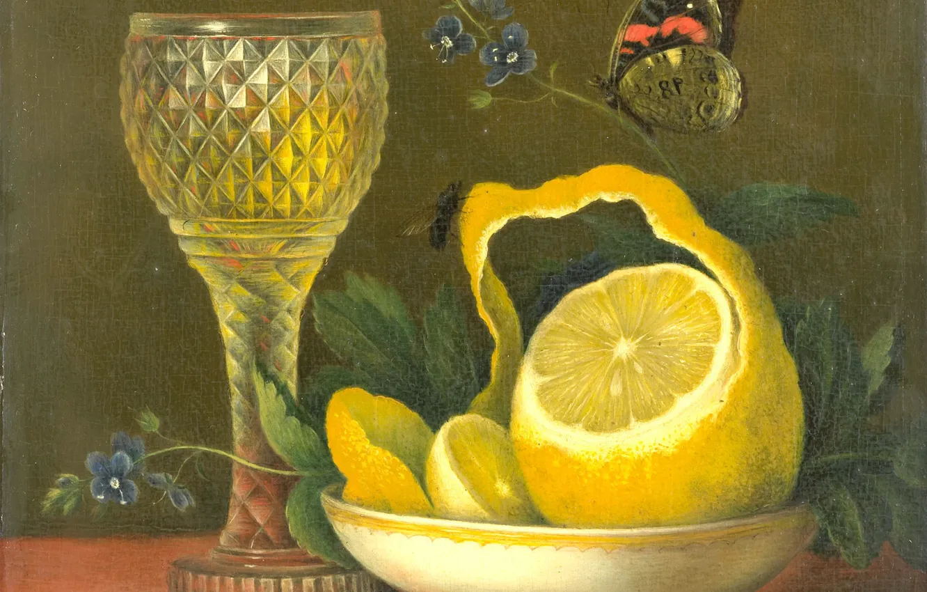 Фото обои дерево, бабочка, масло, картина, Натюрморт с Лимоном и Хрустальным Стаканом, Мария Маргарета ван Ос