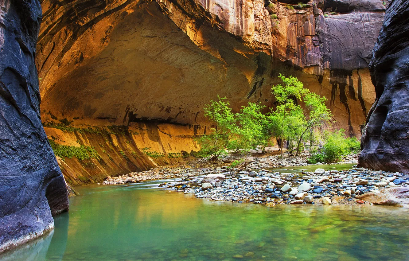 Фото обои листья, деревья, река, камни, скалы, каньон
