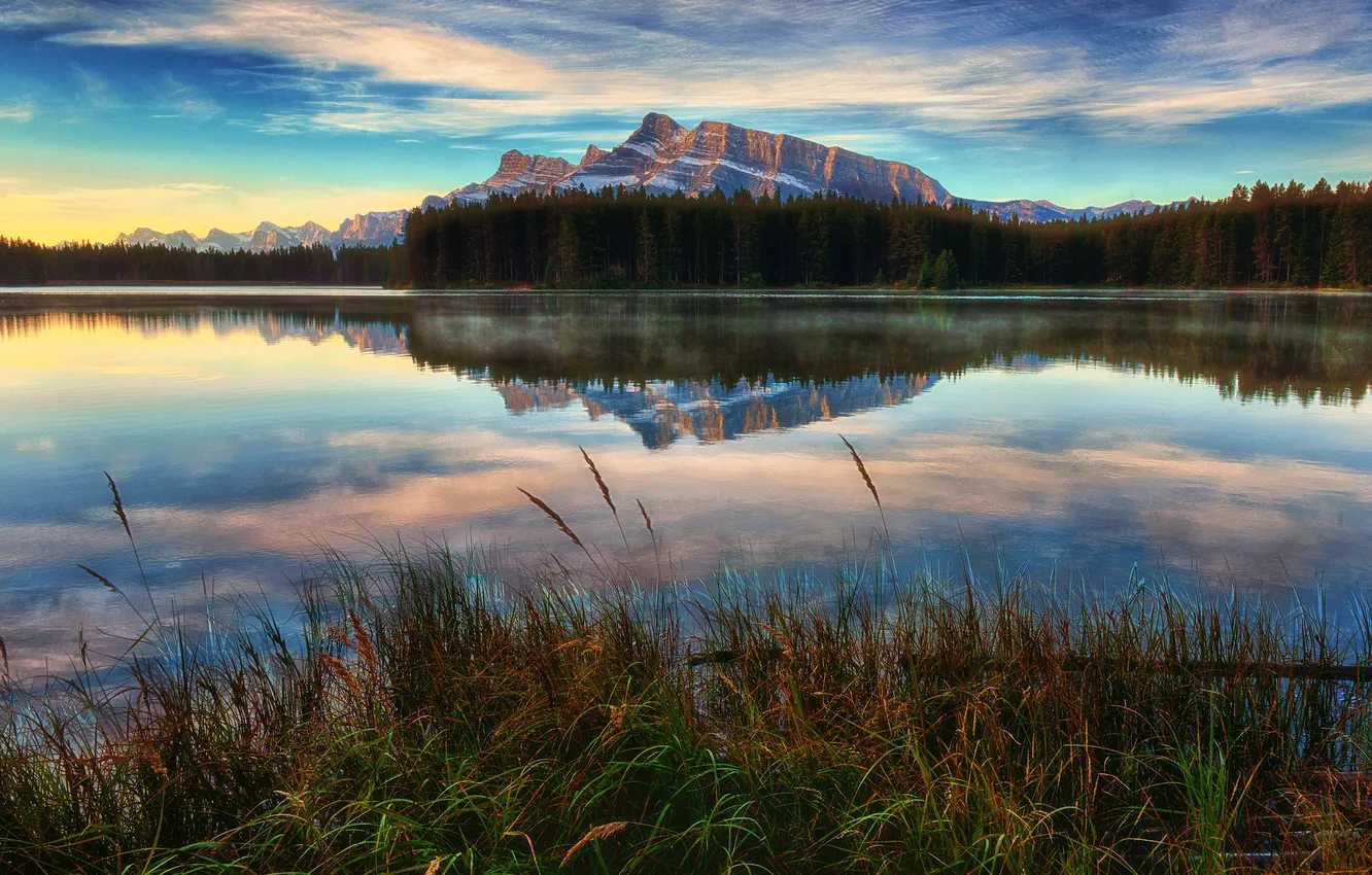 Фото обои трава, озеро, отражение, гора, Break of Dawn at Two Jack