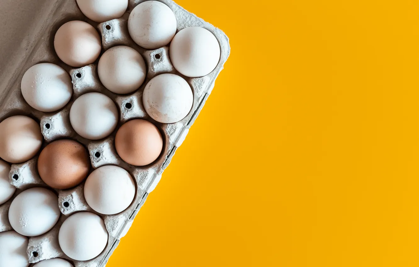 Фото обои colors, eggs, cardboard, maple