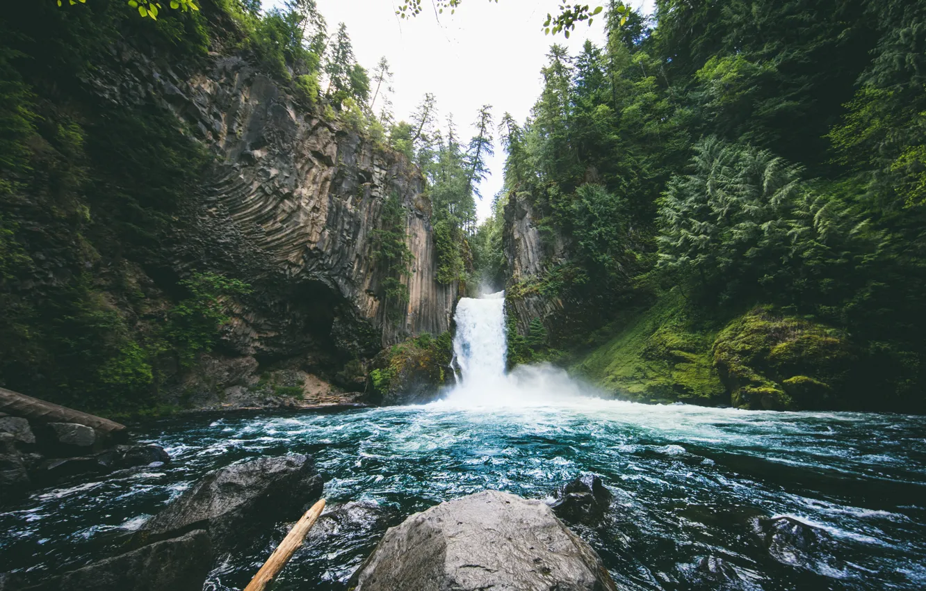 Фото обои лес, деревья, природа, камни, водопад, Oregon, Toketee Falls