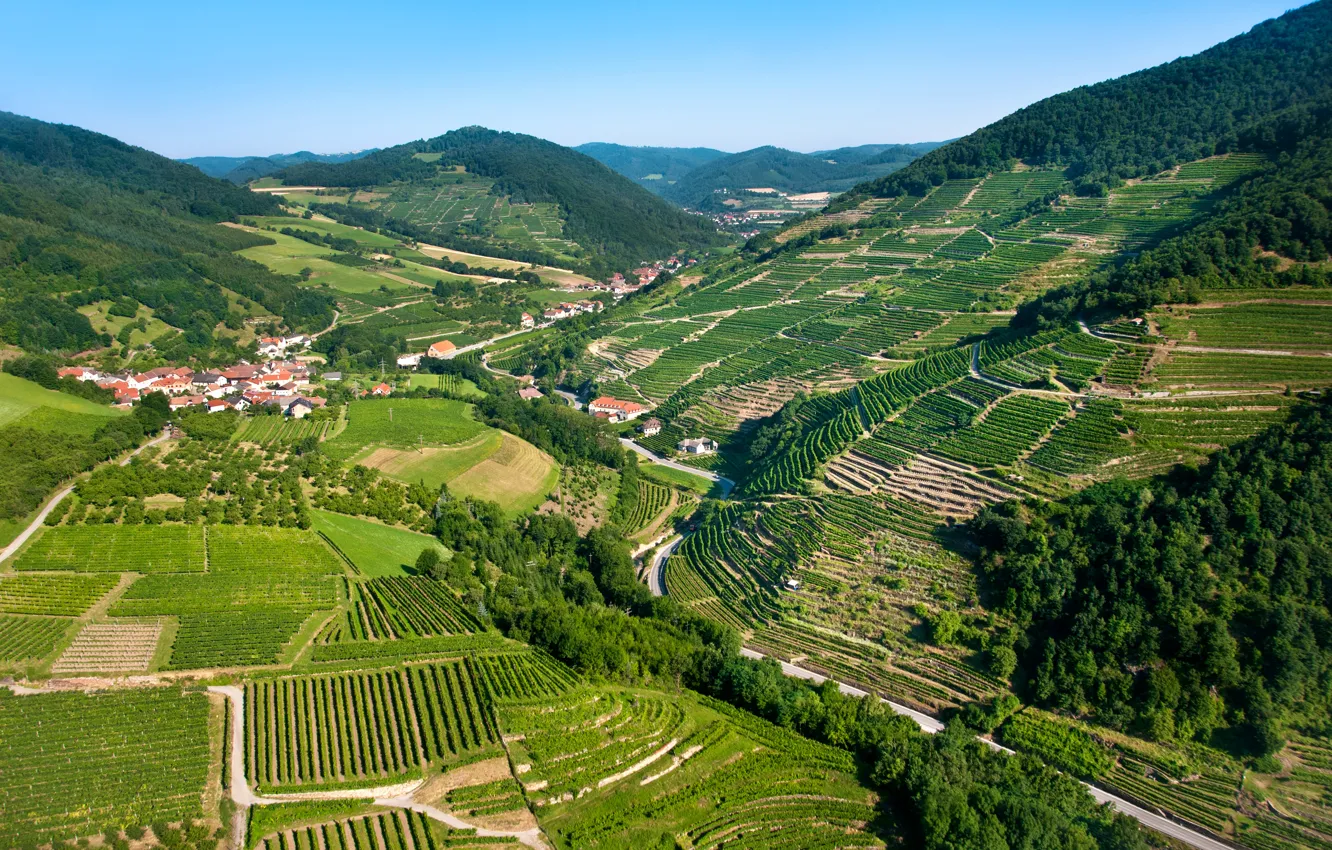 Фото обои горы, поля, дома, Австрия, панорама, леса, плантации, Wachau