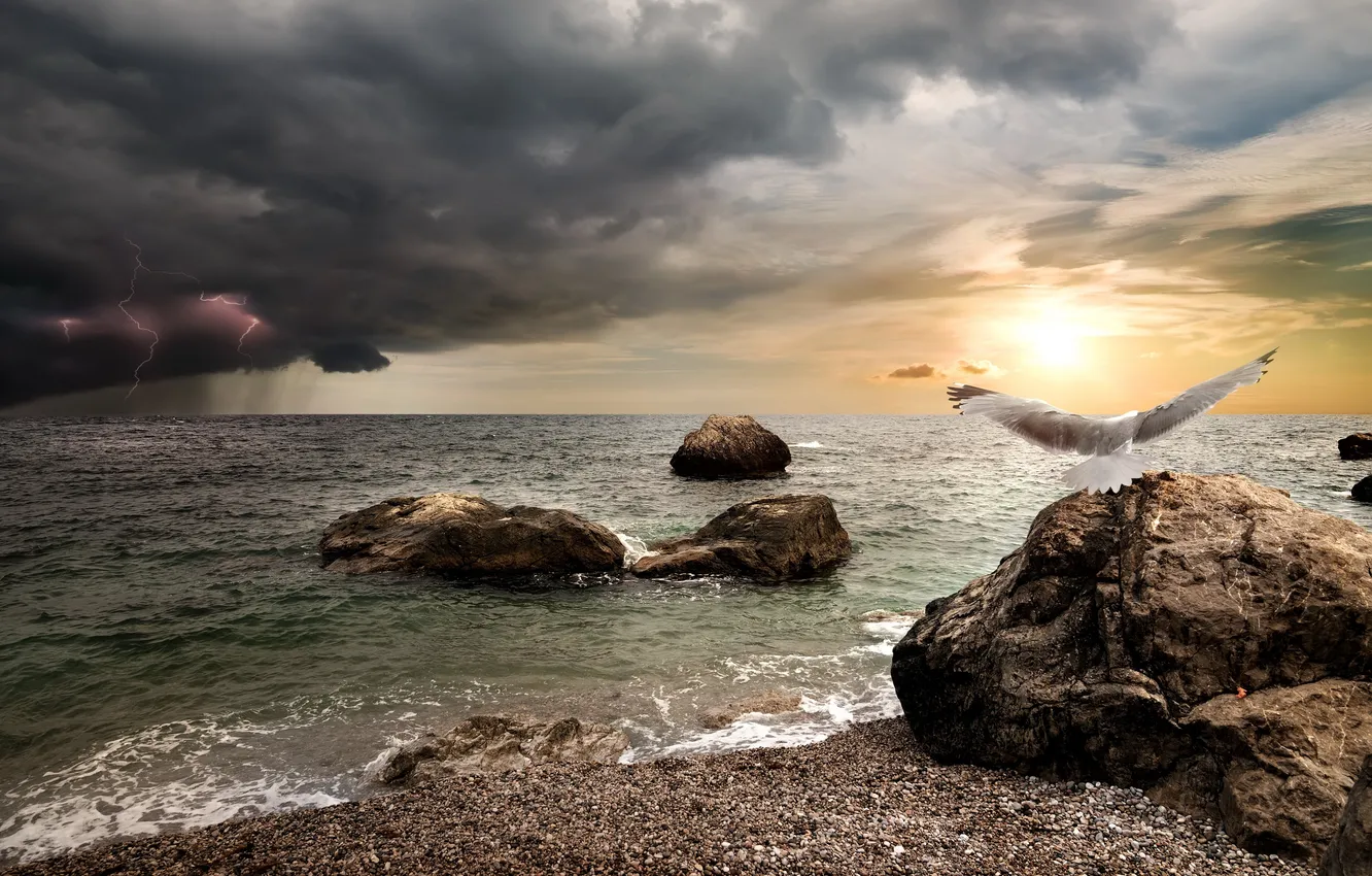 Фото обои море, закат, beach, sky, sea, sunset, wave