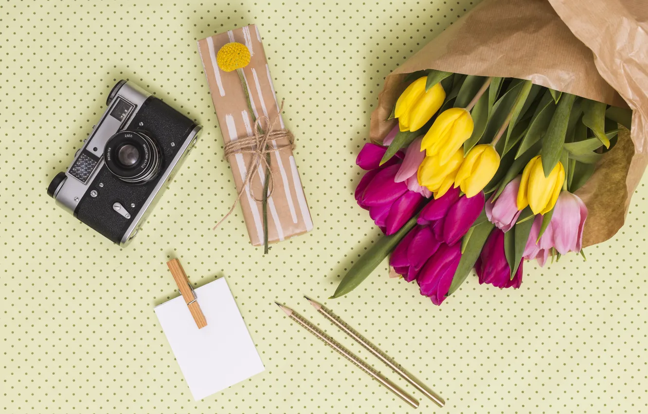 Фото обои подарок, букет, карандаши, фотоаппарат, тюльпаны, Ana Lukenda