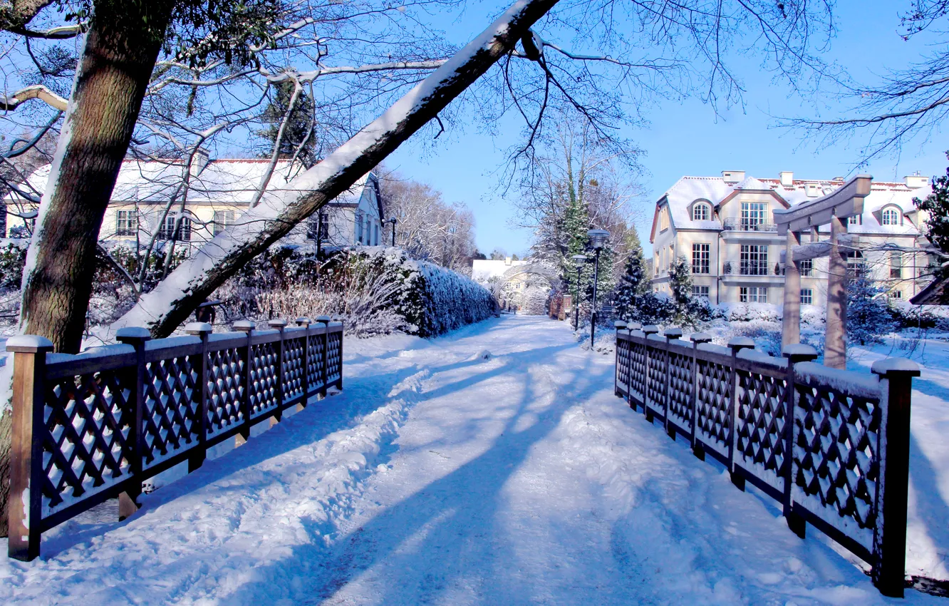 Фото обои park, winter, snow