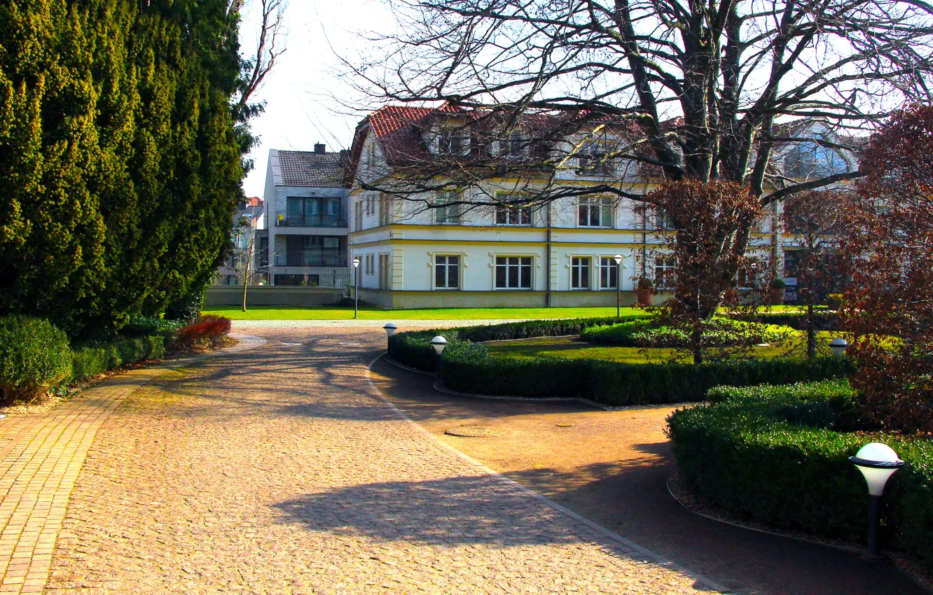 Фото обои park, alley, building