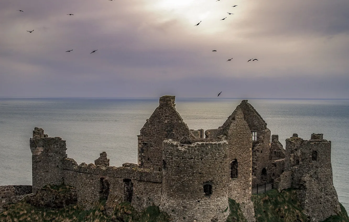 Фото обои море, небо, птицы, тучи, замок, руины, Северная Ирландия, Northern Ireland