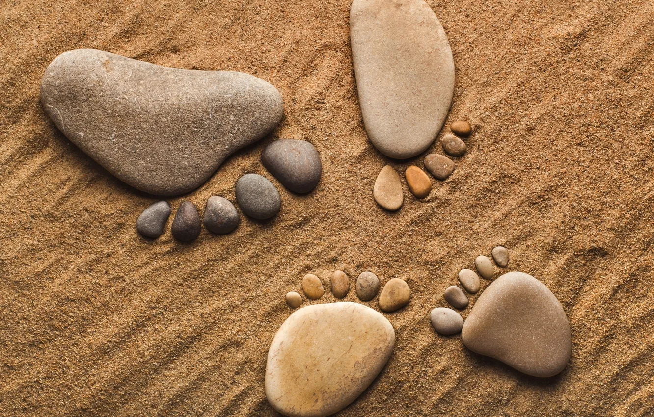 Фото обои песок, галька, камни, ноги, лапки, камешки, ступни