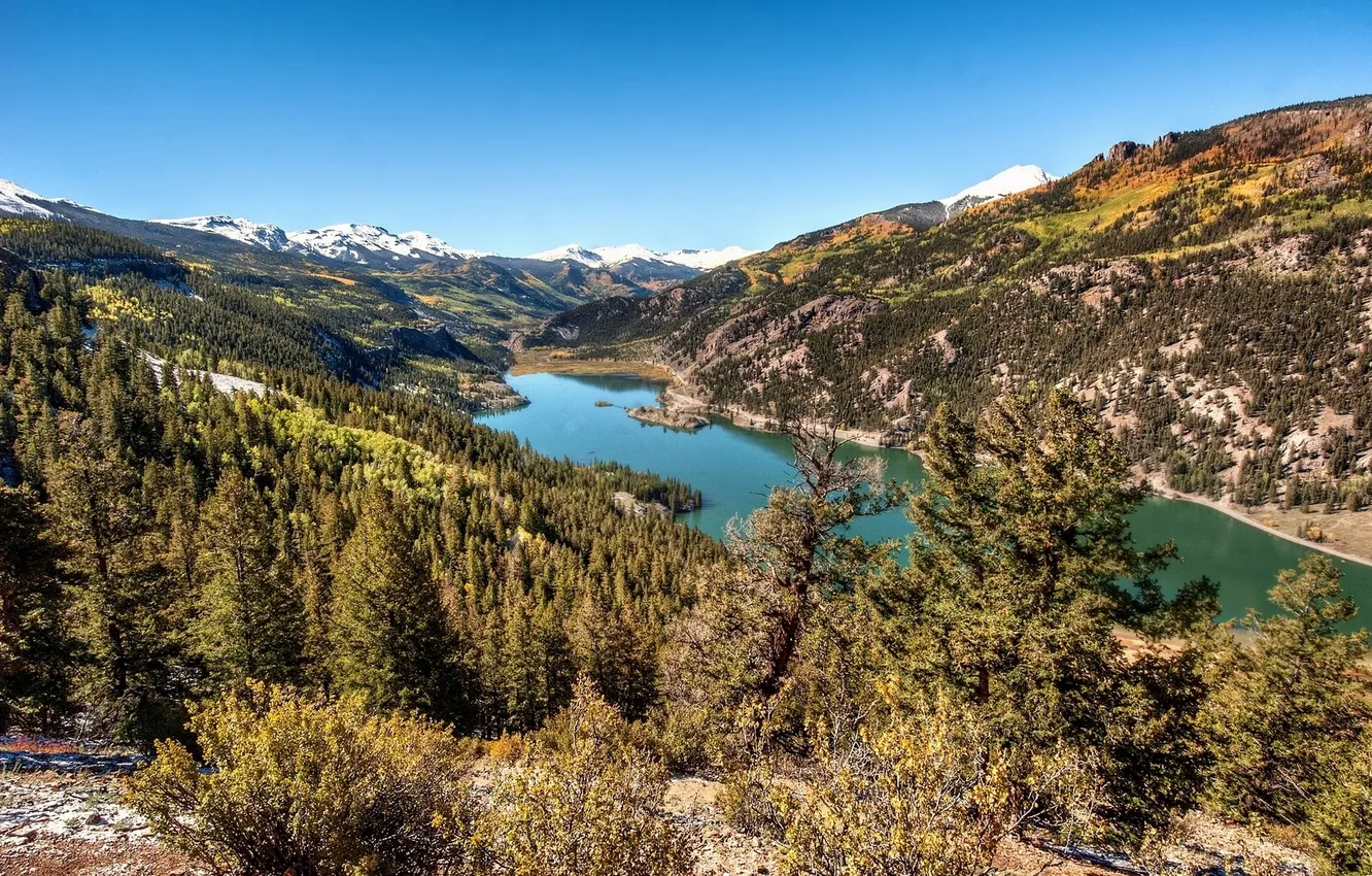 Фото обои лес, Колорадо, Colorado, Скалистые горы, Lake San Cristobal, Rocky Mountains, Hinsdale County, озеро Сан-Кристобаль