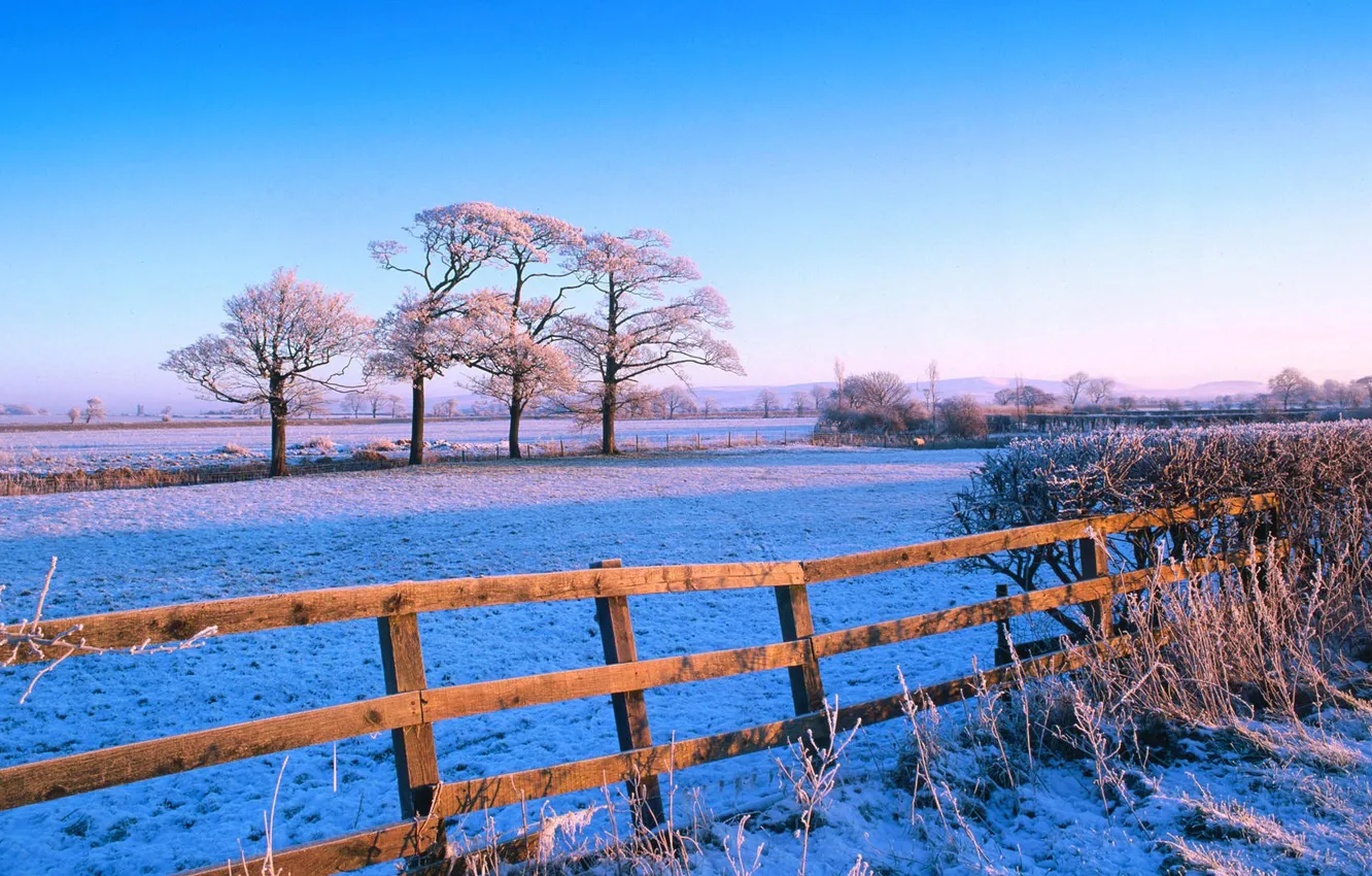 Фото обои зима, иней, поле, небо, снег, деревья, забор