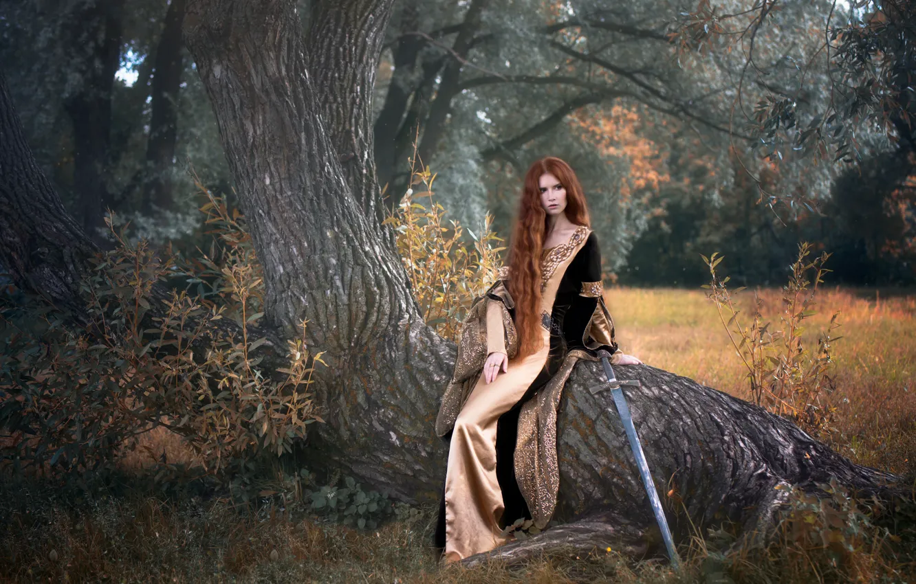 Фото обои девушка, дерево, меч, платье, фэнтези