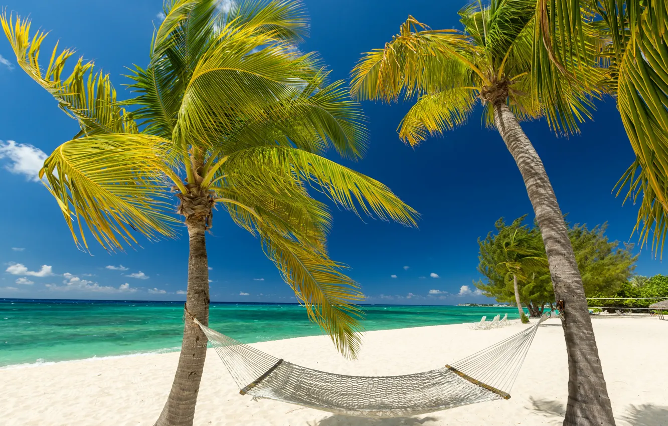 Фото обои песок, море, пляж, небо, солнце, облака, тропики, пальмы