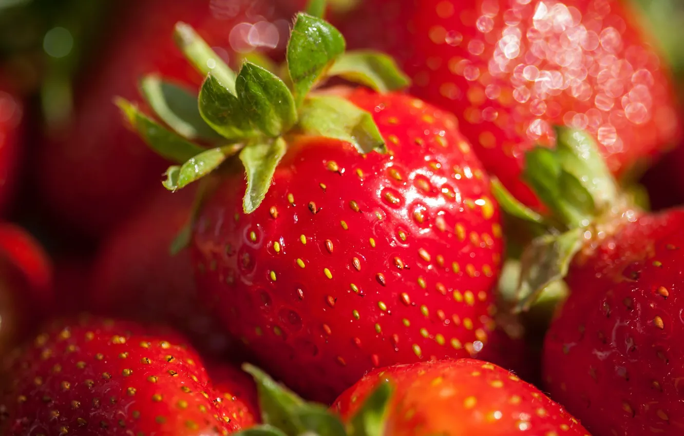 Фото обои красный, ягоды, еда, урожай, клубника, много, боке