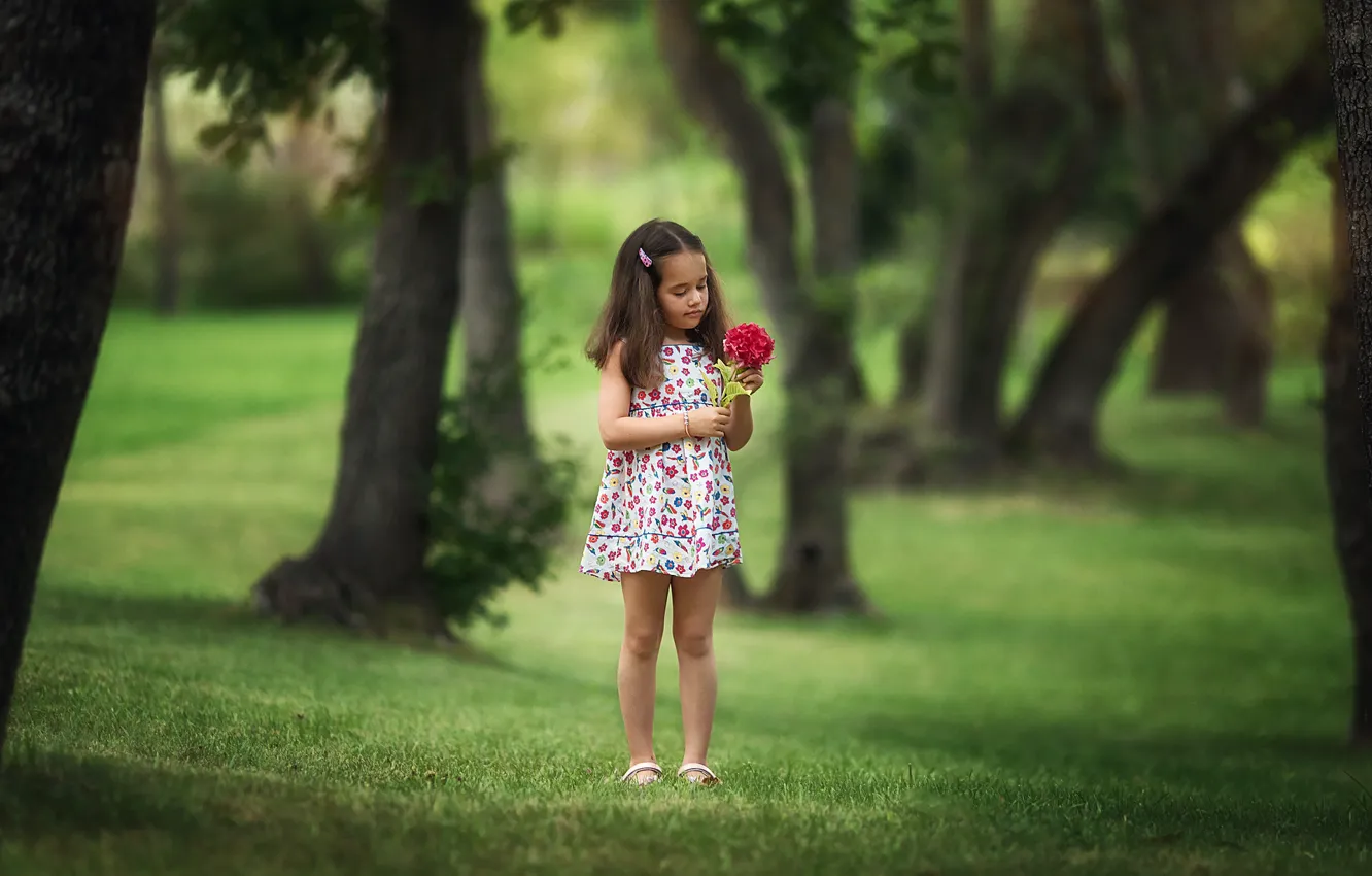 Фото обои цветы, парк, ребенок, платье, девочка, Вера, Бармина Анастасия