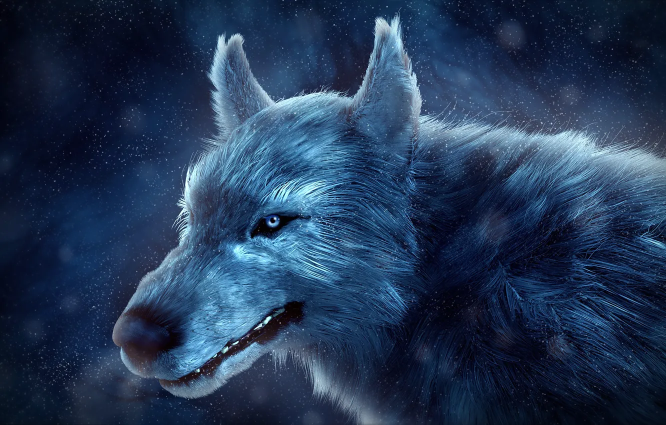 Фото обои зима, снег, волк, by IkyuValiantValentine, Valiant Valentine