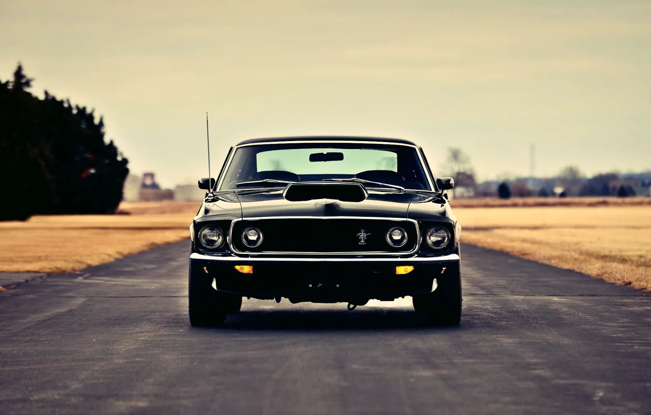 Фото обои Mustang, Ford, Fastback, Boss 429