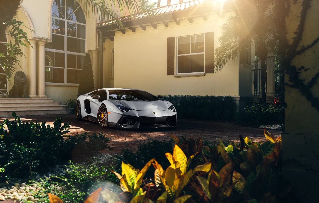 Фото обои Lamborghini, Front, Sun, White, Matte, Tuning, LP700-4, Aventador
