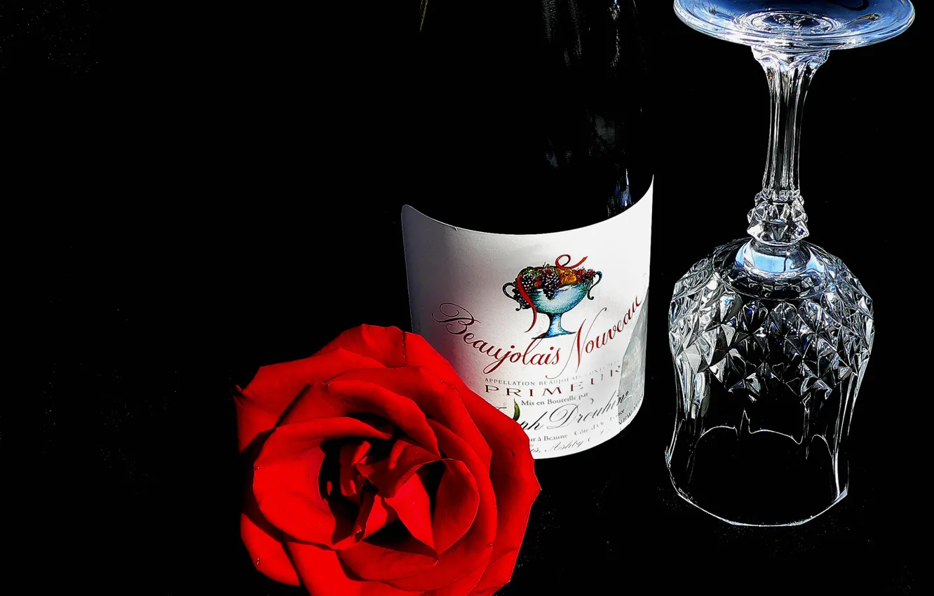 Фото обои цветок, вино, бокал, роза, бутылка, натюрморт, божоле
