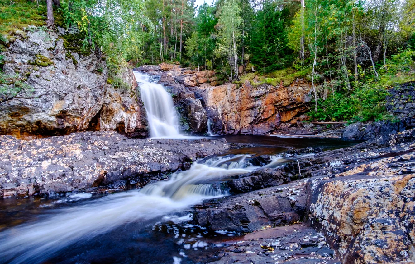 Фото обои лес, скалы, Норвегия, речка, Kjørstadelva