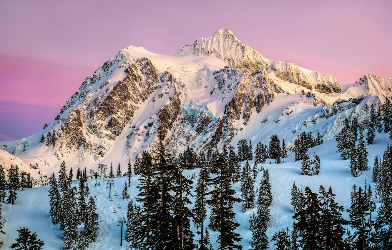 Фото обои зима, лес, небо, закат, вечер, розовое, США, курорт