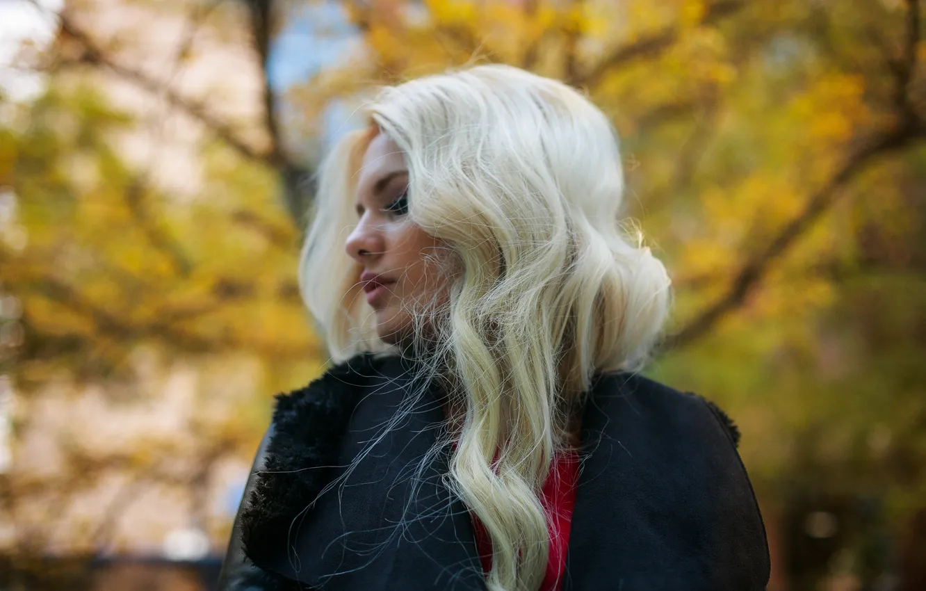 Фото обои осень, девушка, лицо, волосы, блондинка, милашка