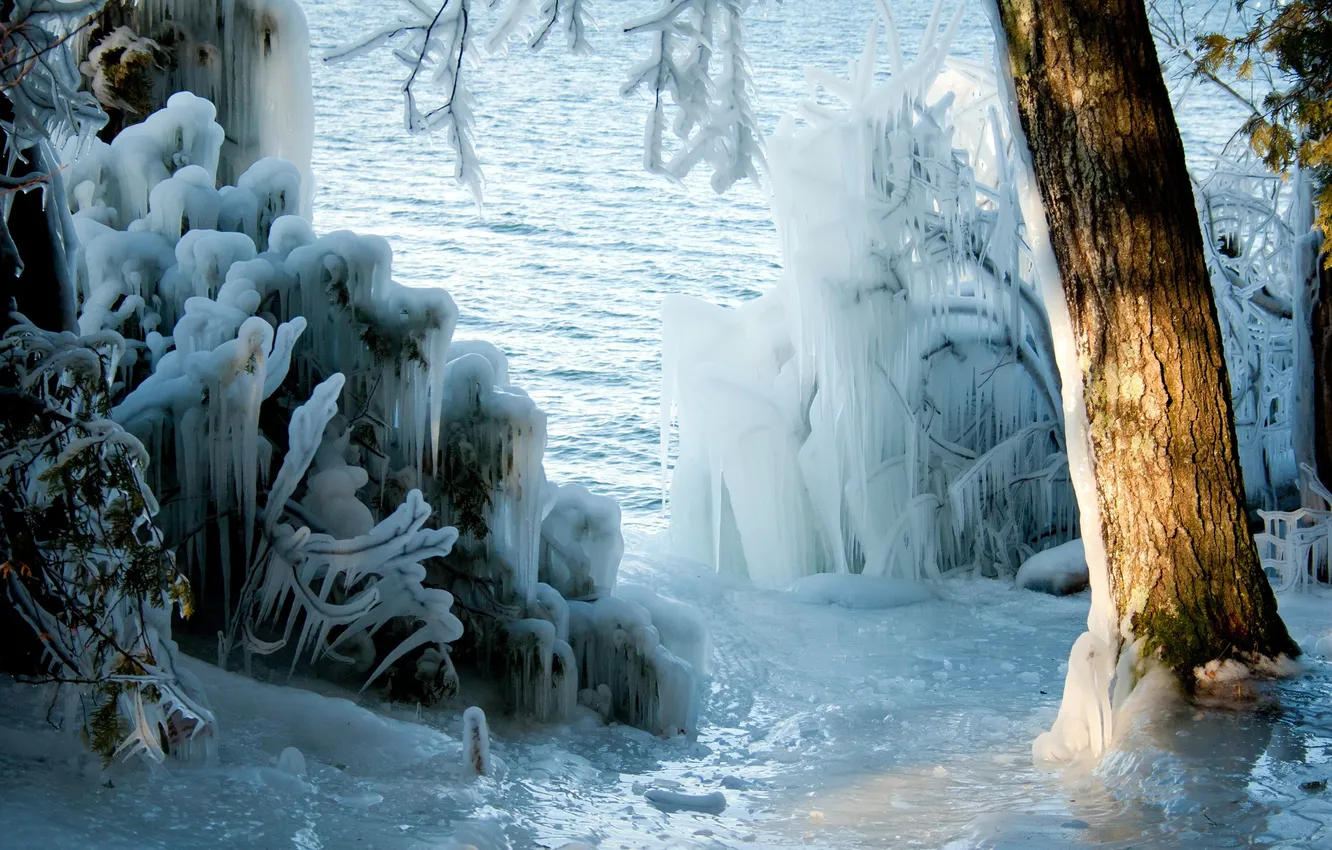 Фото обои зима, природа, дерево, лёд