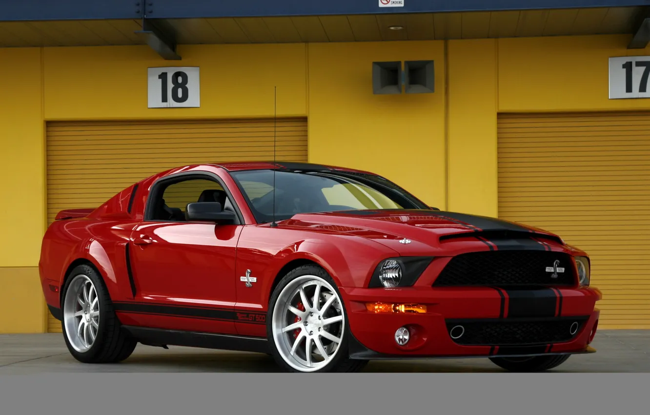 Фото обои mustang, ford, shelby, gt500, super snake