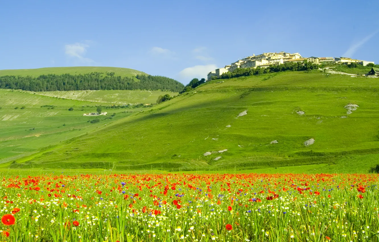 Фото обои пейзаж, цветы, природа, холмы, поля, маки, дома, italia