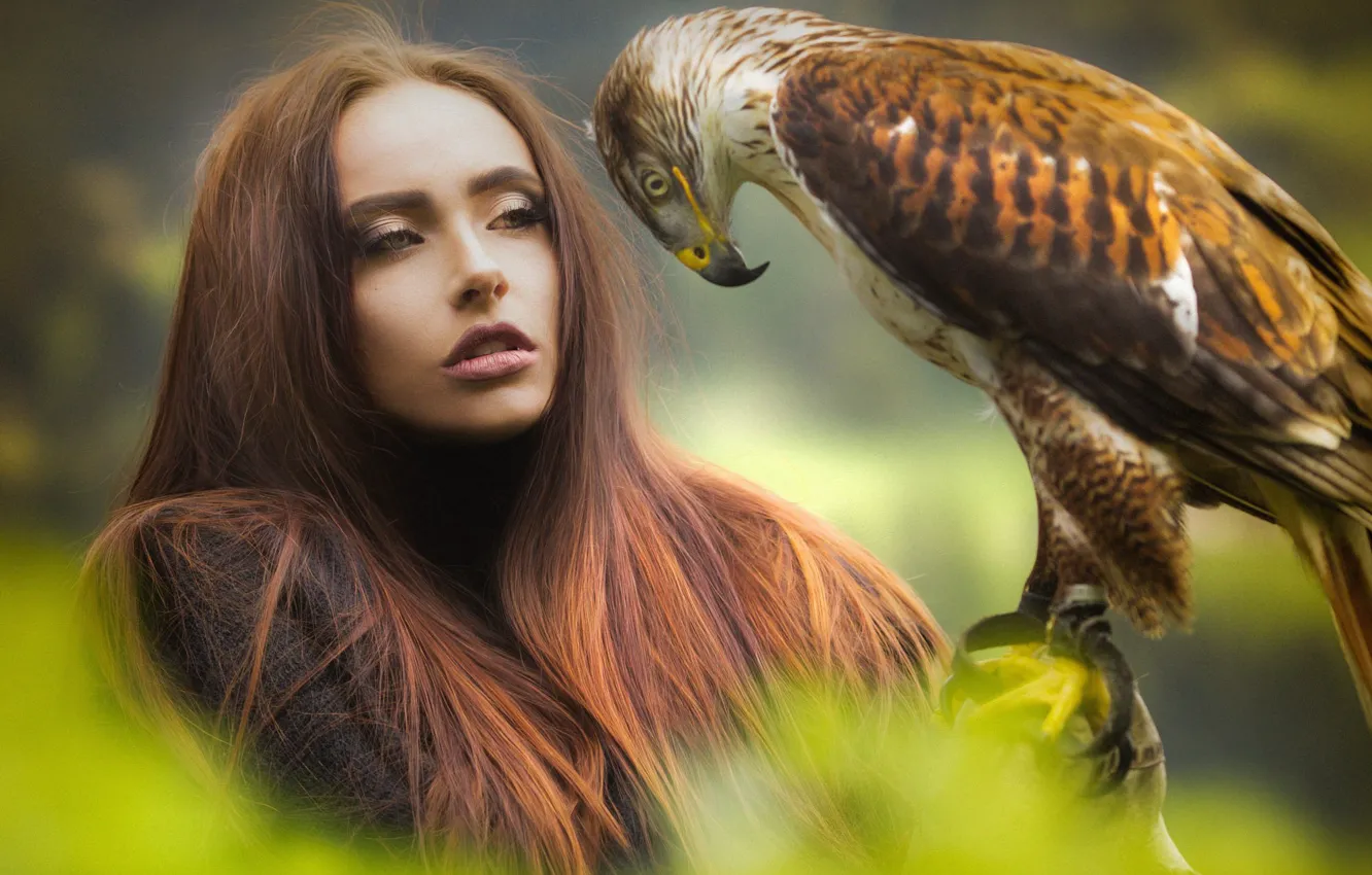 Фото обои взгляд, девушка, птица, волосы, красивая, ястреб, Joachim Bergauer