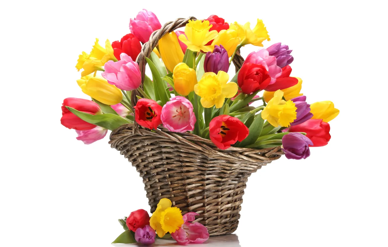 Фото обои цветы, корзина, букет, желтые, тюльпаны, красные, нарциссы