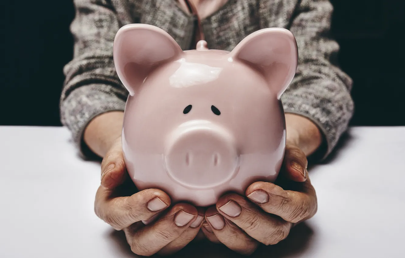 Фото обои man, hands, purse, pink pig