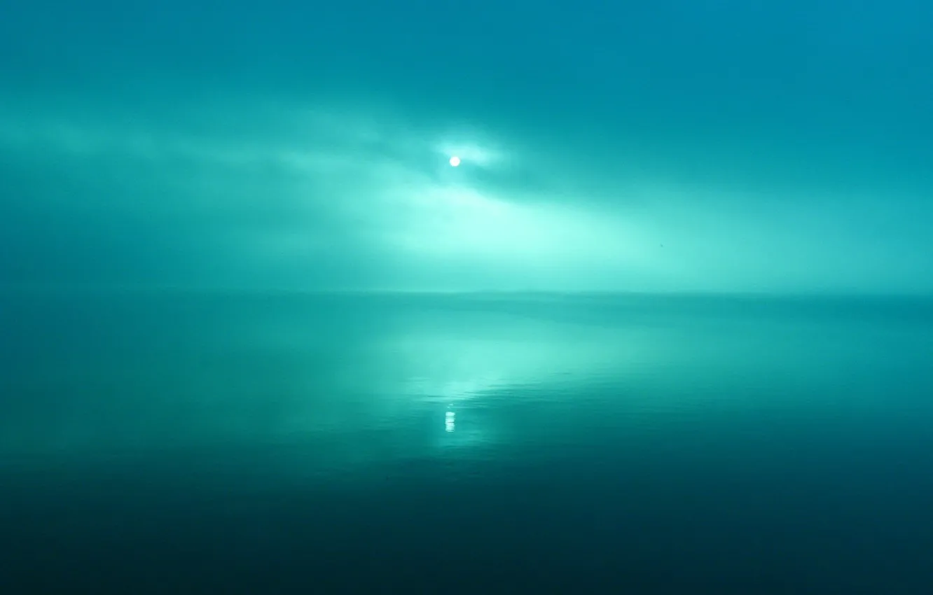Фото обои солнце, зеленый, отражение, Вода