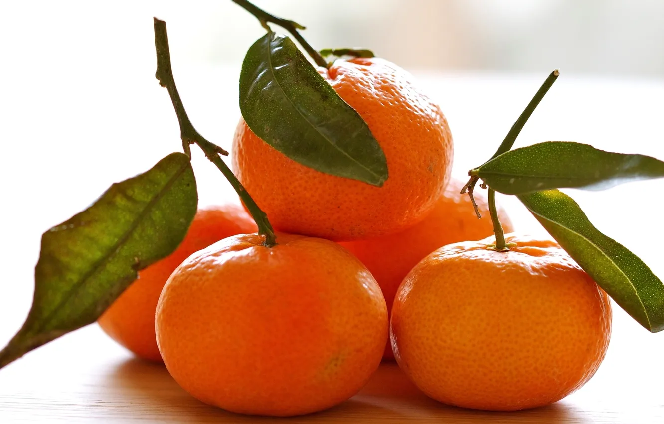 Фото обои листья, стол, фрукты, оранжевые, цитрусы, мандарины