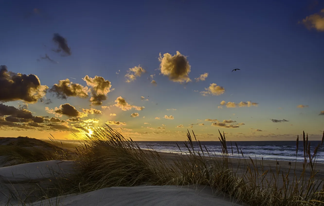 Фото обои песок, море, волны, пляж, небо, солнце, облака, восход