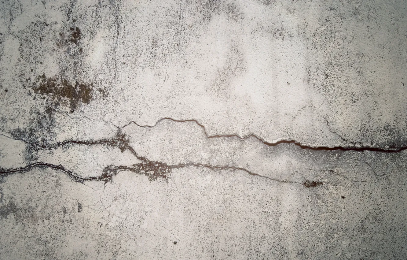 Фото обои стена, мох, бетон, трещина, crack in time, fancq